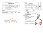 NAME Period___________ Modern Genetics Outline