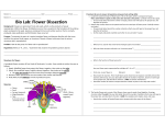 Bio Lab: Flower Dissection