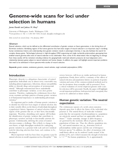 Genome-wide scans for loci under selection in