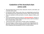 Catabolism of the branched