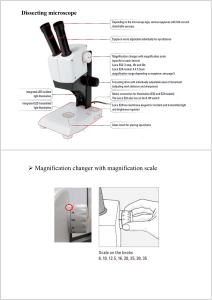 Magnification changer with magnification scale
