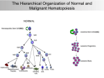 The Hierarchical Organization of Normal and
