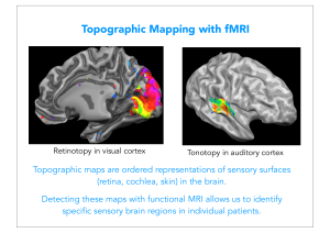 Topographic Mapping with fMRI