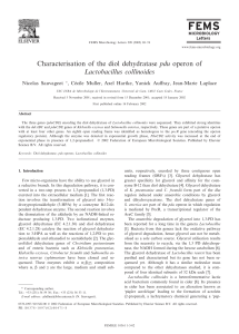 Characterisation of the diol dehydratase pdu operon of Lactobacillus