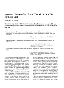 Japanese Honeysuckle: From "One of the best" to
