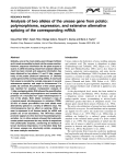 Analysis of two alleles of the urease gene from potato