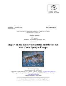 Report on the conservation status and threats for wolf (Canis lupus
