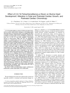 Effect of 2,3,7,8-Tetrachlorodibenzo-p