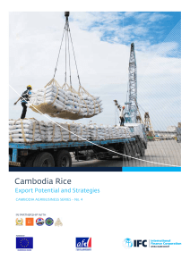 Cambodia Rice