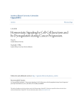 Homeostatic Signaling by Cell-Cell Junctions and Its