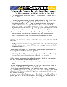 Introduction to Biotechnology Gel Electrophoresis and DNA Analysis