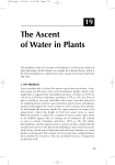 The Ascent of Water in Plants