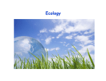ESci19 Ecology Lecture Slides