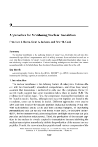 Approaches for Monitoring Nuclear Translation