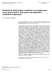 Estimating the photosynthetic contribution of developing peach