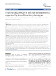A role for BELLRINGER in cell wall development is supported by