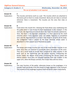 HighFour General Sciences Round 3 Category A: Grades 4 – 5