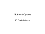 Nutrient Cycles - Penn Arts and Sciences