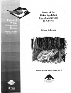 Status of the Plains Spadefoot - Alberta Conservation Association