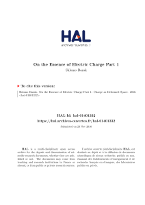 On the Essence of Electric Charge