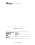 Position Paper: Transmission / Distribution Asset Demarcation
