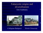 Eukaryotic origins and diversification