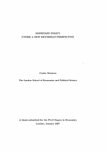 MONETARY POLICY UNDER A NEW KEYNESIAN PERSPECTIVE