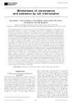 Mechanisms of convergence and extension by cell intercalation