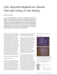 Cyclic Nucleotide-Regulated Ion Channels: From Light Sensing to