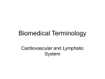 Biomedical Terminology