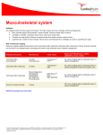 Nuclear Medicine: Musculoskeletal system