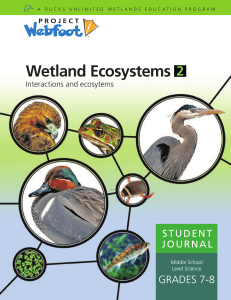 Wetlands 2 Student - Shuswap Watershed Project