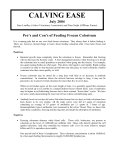 Pro`s and Con`s of Feeding Frozen Colostrum
