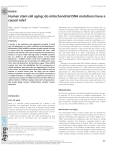 Human stem cell aging: do mitochondrial DNA mutations have a