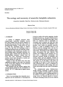 The ecology and taxonomy of anaerobic halophilic eubacteria
