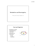 Metabolism and Bioenergetics Fuel and Digestion