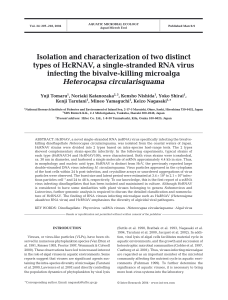 Isolation and characterization of two distinct types of HcRNAV, a