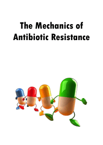 The Mechanics of Antimicrobial Resistance