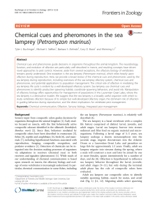 Chemical cues and pheromones in the sea lamprey (Petromyzon