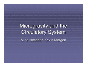 Microgravity and the Cardiovascular System