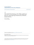 The stretch-shortening cycle of the quadriceps femoris muscle group