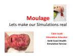 Moulage Lets make our Simulations real
