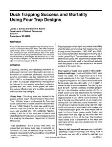 Duck Trapping Success and Mortality Using Four Trap Designs