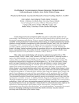 The Piloting of Two Instruments to Measure Elementary Methods