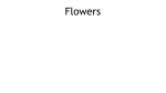 Flowers - Missouri State University