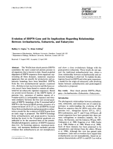 Evolution of HSP70 gene and its implications regarding - ACE-SAP