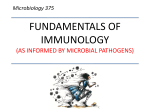 week six summary - fundamentals of immunology