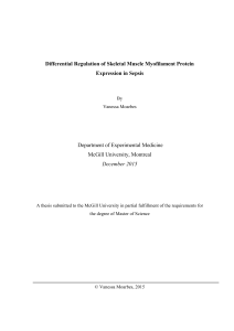 Differential Regulation of Skeletal Muscle