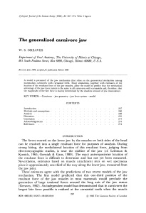 The generalized carnivore jaw