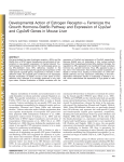 Developmental Action of Estrogen Receptor